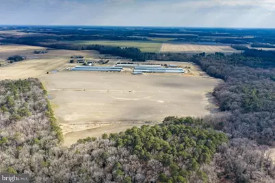 Liberty Road, Federalsburg, MD 21632 - Photo 10