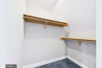 24764 Pealiquor Road, Denton, MD 21629 - Photo 50