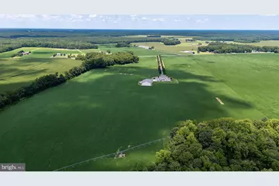 28219 Bridgeville Road, Federalsburg, MD 21632 - Photo 88