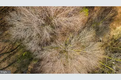 26127 Hobbs Road, Denton, MD 21629 - Photo 30