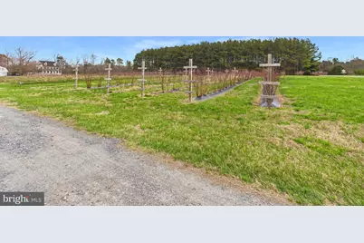 8416 Harmony Road, Denton, MD 21629 - Photo 84