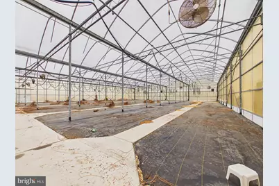 8416 Harmony Road, Denton, MD 21629 - Photo 60