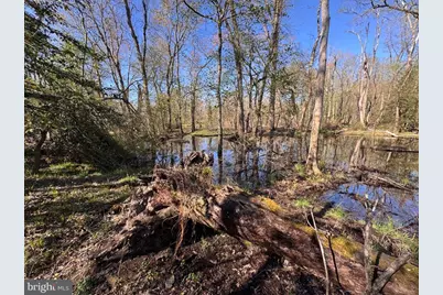 27202 Sandtown Road, Goldsboro, MD 21636 - Photo 6