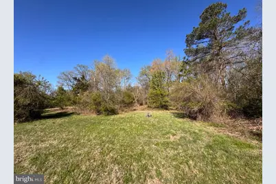 27202 Sandtown Road, Goldsboro, MD 21636 - Photo 4