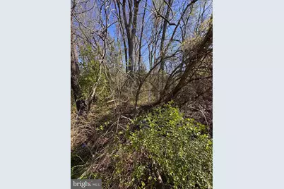 27202 Sandtown Road, Goldsboro, MD 21636 - Photo 12