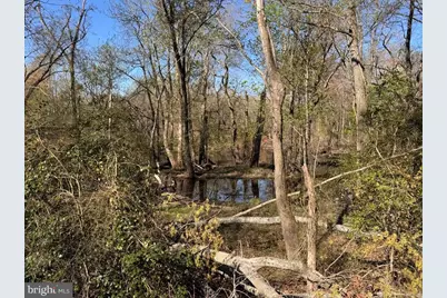 27202 Sandtown Road, Goldsboro, MD 21636 - Photo 8