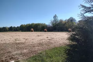 12397 Ridgely Rd, Ridgely, MD 21660 - Photo 32