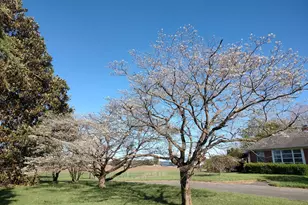 12397 Ridgely Rd, Ridgely, MD 21660 - Photo 58