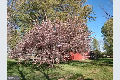 12397 Ridgely Road, Ridgely, MD 21660 - Photo 22