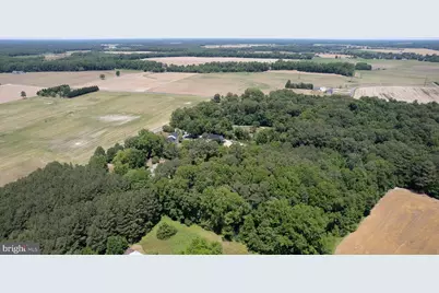 3547 Prchal Road, Preston, MD 21655 - Photo 10