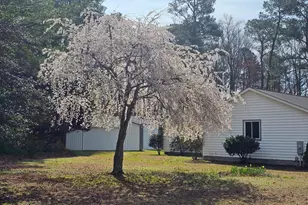 3547 Prchal Rd, Preston, MD 21655 - Photo 80