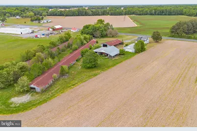 25699 Auction Road, Federalsburg, MD 21632 - Photo 42