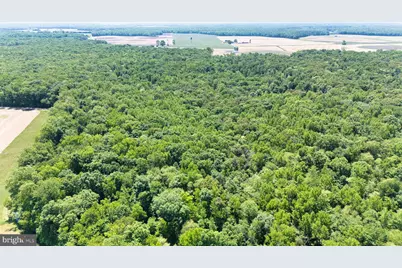 0 Trunk Road, Henderson, MD 21640 - Photo 6