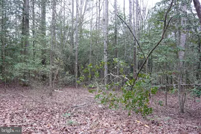 0 Trunk Road, Henderson, MD 21640 - Photo 10