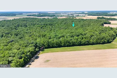 0 Trunk Road, Henderson, MD 21640 - Photo 4