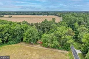3675 Seaman Rd, Preston, MD 21655 - Photo 38