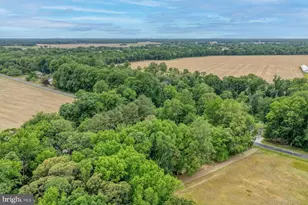 3675 Seaman Rd, Preston, MD 21655 - Photo 40