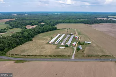 7347 Harmony Road, Preston, MD 21655 - Photo 14
