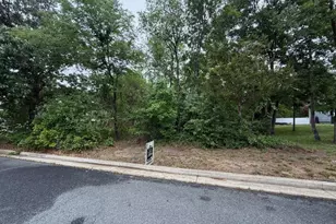 Charlotte Ave, Federalsburg, MD 21632 - Photo 1