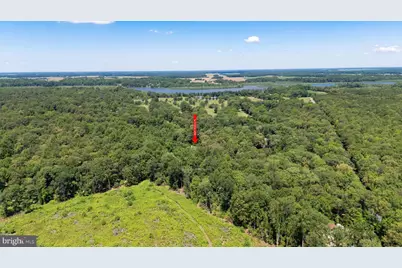 8605 Hickory Place, Denton, MD 21629 - Photo 38