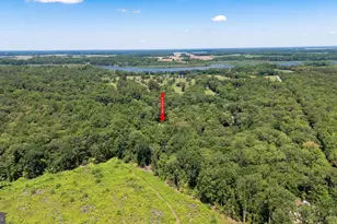 8605 Hickory Pl, Denton, MD 21629 - Photo 38