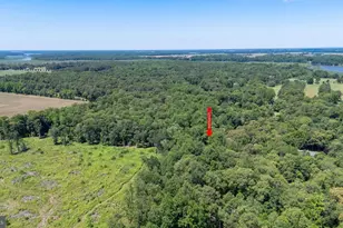 8605 Hickory Pl, Denton, MD 21629 - Photo 36