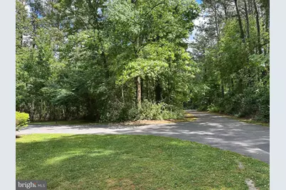 28440 Bloomery Road, Federalsburg, MD 21632 - Photo 82