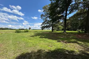 25629 Ischer Rd, Federalsburg, MD 21632 - Photo 42