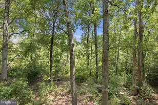 27311 Patricia Ct, Federalsburg, MD 21632 - Photo 4