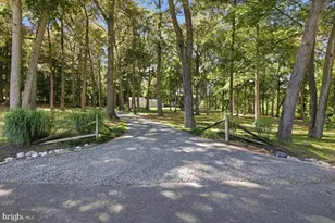 3410 Seaman Rd, Preston, MD 21655 - Photo 4