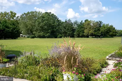24634 Pealiquor Road, Denton, MD 21629 - Photo 44
