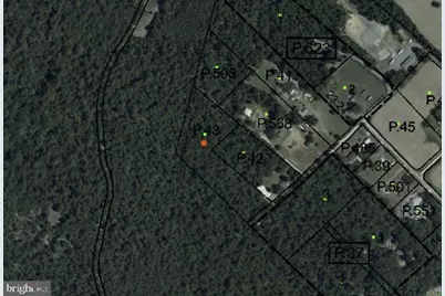 Houston Branch Road, Federalsburg, MD 21632 - Photo 1