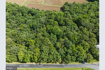 Lot 4 River Road, Greensboro, MD 21639 - Photo 6
