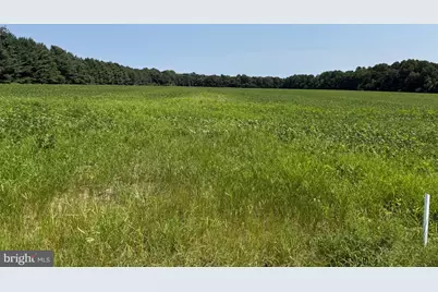 0000 Harmony Rd., Preston, MD 21655 - Photo 1