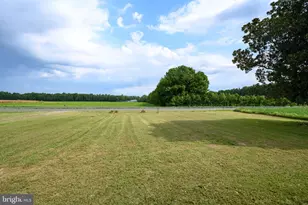 25699 Auction Rd, Federalsburg, MD 21632 - Photo 44