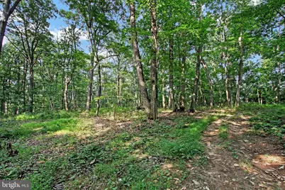Falls Road, Manchester, MD 21102 - Photo 22