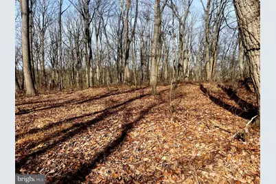 Falls Road, Manchester, MD 21102 - Photo 26