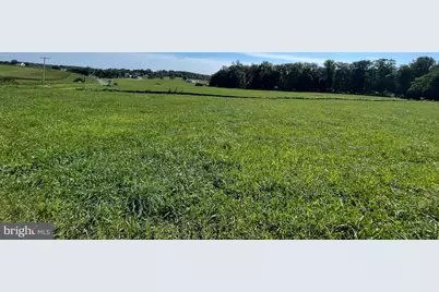 Cabbage Spring, Mount Airy, MD 21771 - Photo 10