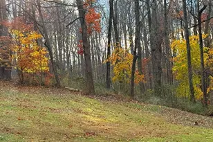 300 Discovery Dr, Westminster, MD 21157 - Photo 2