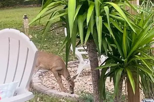 3820 Kump Station Rd, Taneytown, MD 21787 - Photo 30