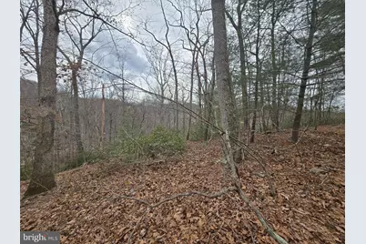 Parcel # 521 London Bridge, Sykesville, MD 21784 - Photo 16