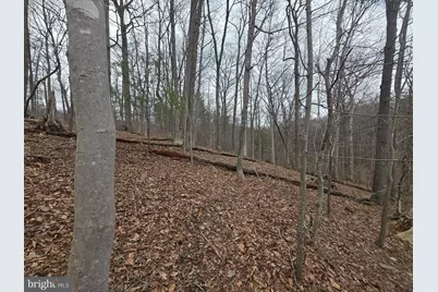 Parcel # 521 London Bridge, Sykesville, MD 21784 - Photo 12