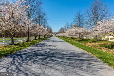 3410 Tuckaway Drive, Mount Airy, MD 21771 - Photo 82