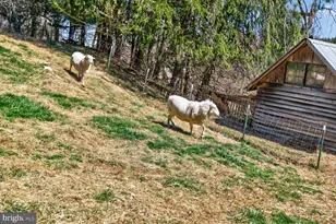 2338 Jim Kohler Rd, Eldersburg, MD 21784 - Photo 4