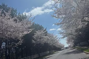 1006 Kingsbridge Terrace, Mount Airy, MD 21771 - Photo 4