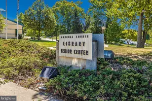 908 Roller Coaster Ct, Mount Airy, MD 21771 - Photo 66