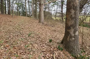 Farmington, Woodbine, MD 21797 - Photo 32