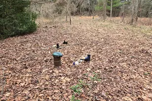 Farmington, Woodbine, MD 21797 - Photo 24