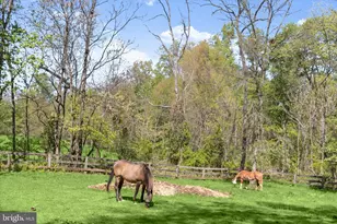 3346 Kump Station Rd, Taneytown, MD 21787 - Photo 48