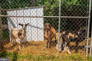 1935 Trevanion Rd, Taneytown, MD 21787 - Photo 50